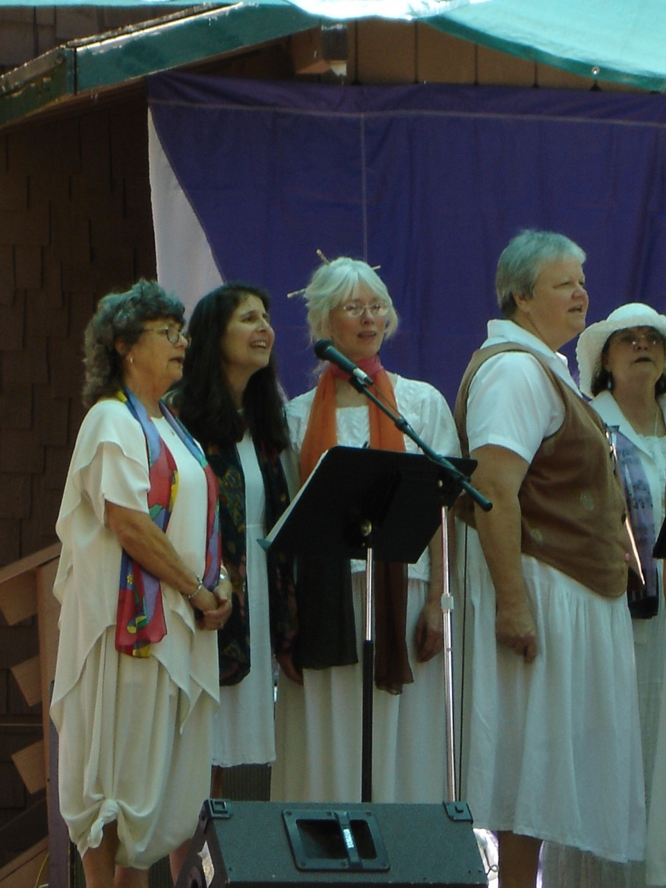 Earth Fair Performance - Local Color
